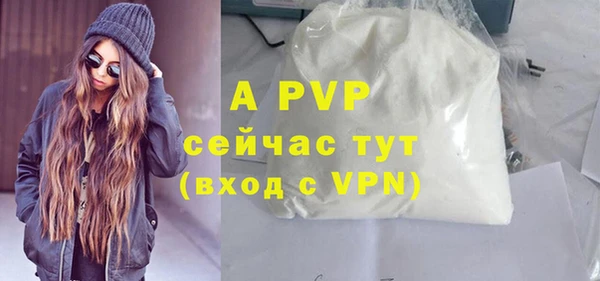 гашик Осинники
