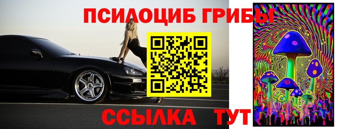 Псилоцибиновые грибы ЛСД  хочу наркоту  Арсеньев  Вход с VPN  Псилоцибиновые грибы Cubensis 